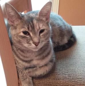 Meet your Posher, Lynn